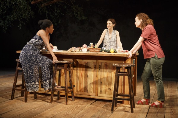 Review: Antlia Pneumatica at Playwrights Horizons