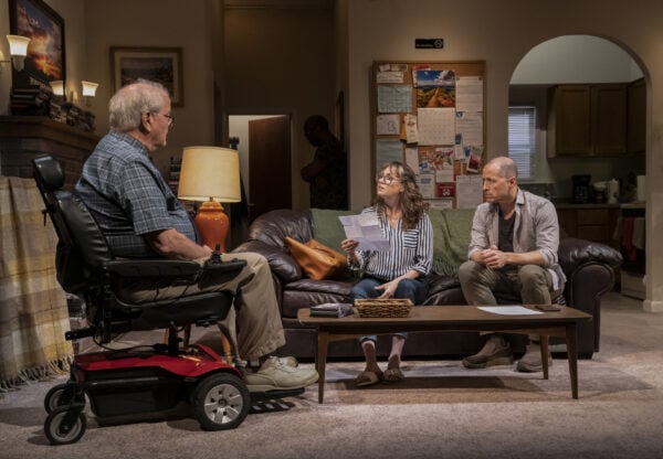 Review: Downstate at Playwrights Horizons
