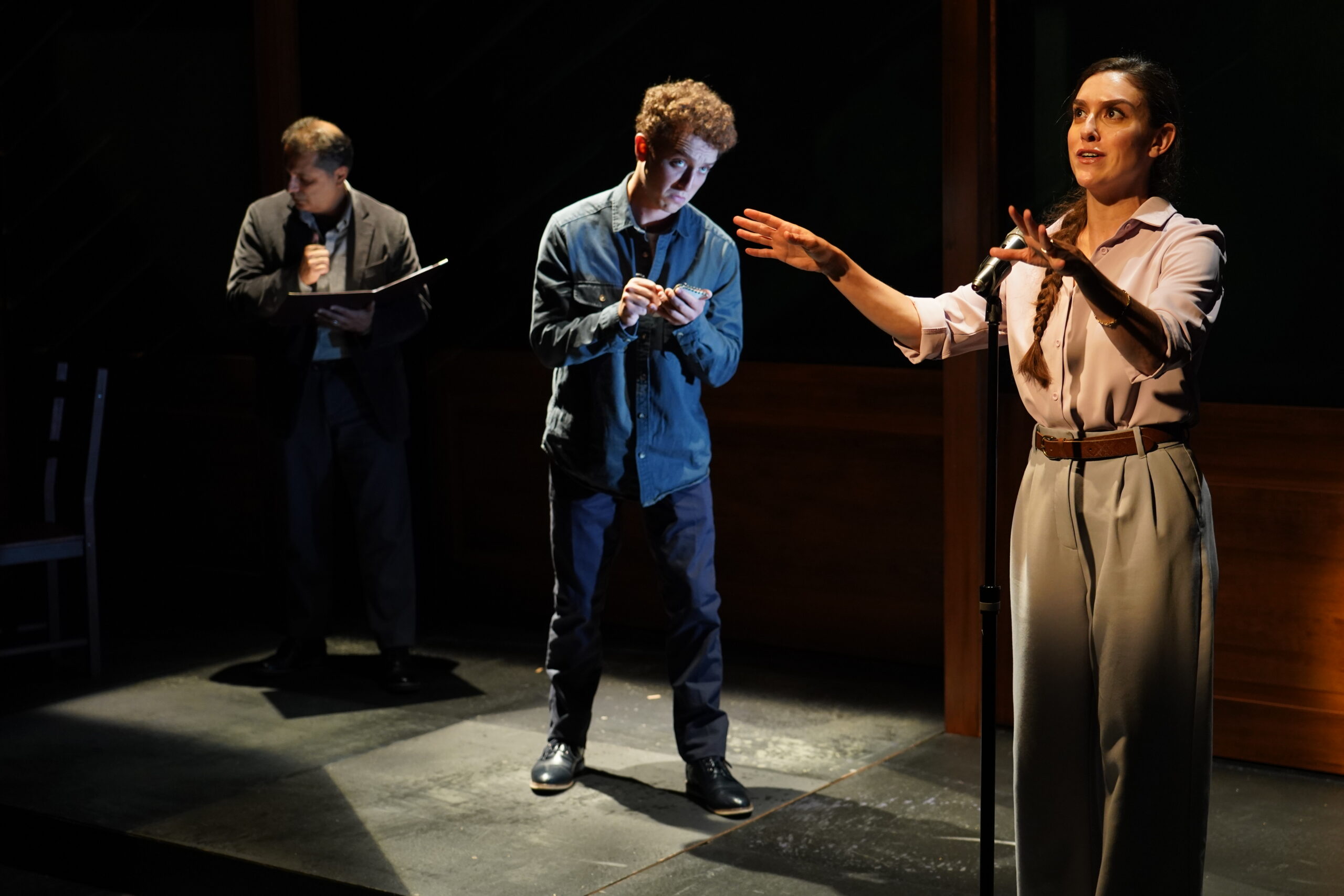 Firdous Bamji, Ethan J. Miller, and Dani Stoller in This Much I Know. Photo: Carol Rosegg.